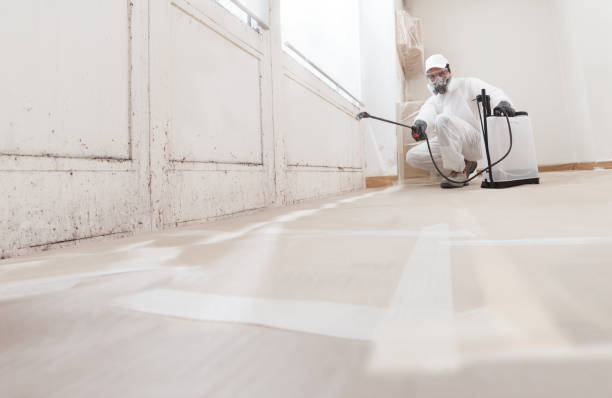 24/7 Emergency Mold Remediation experts in Centreville, VA